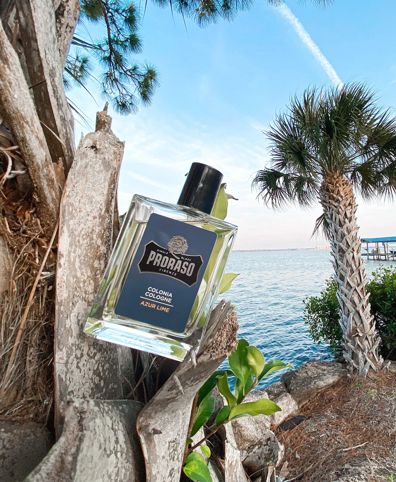 Proraso - Azur Lime - Cologne: Proraso - Azur Lime - Cologne professional styling result and application, view 5
