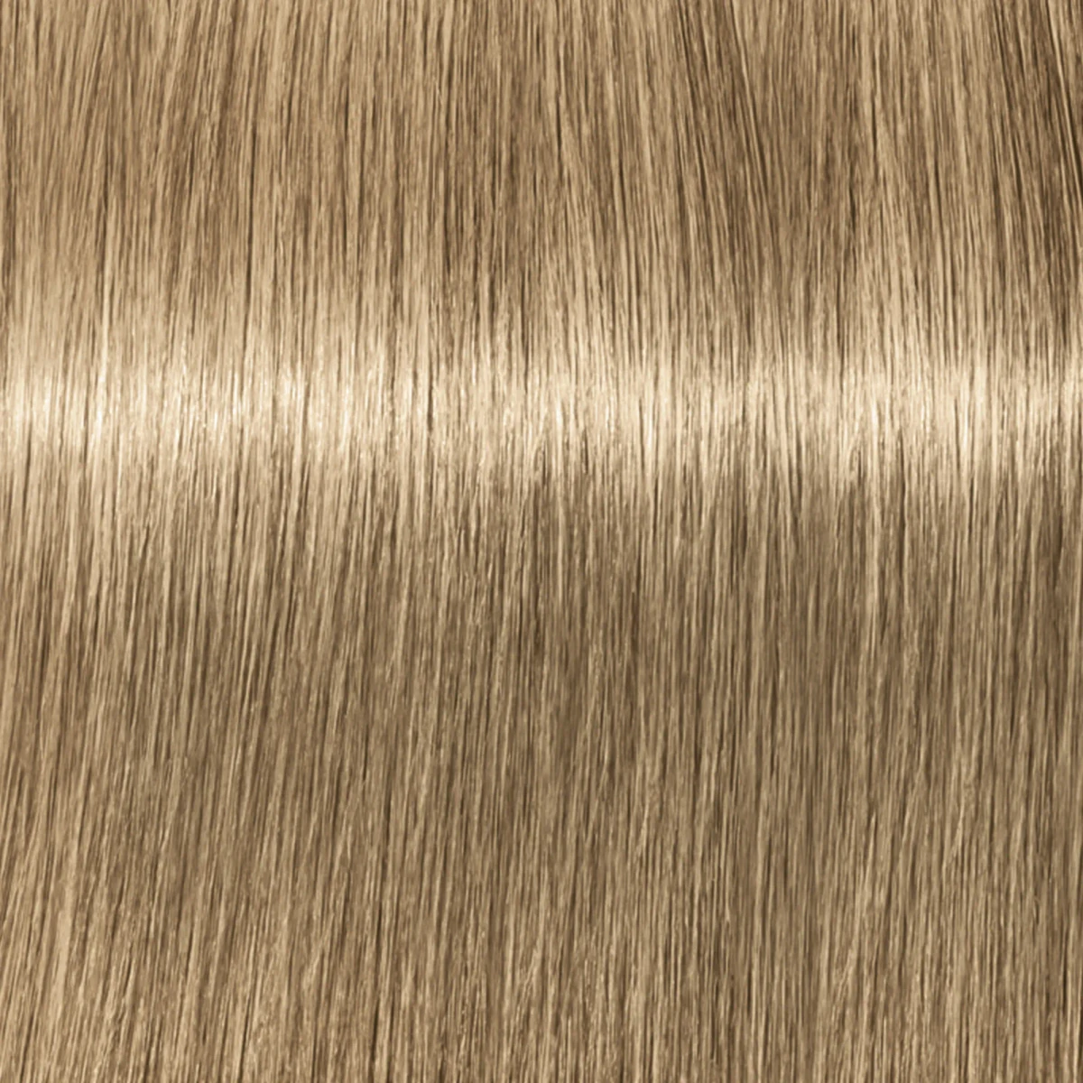 Igora Color10 - 8-4 - Light Blonde - Beige