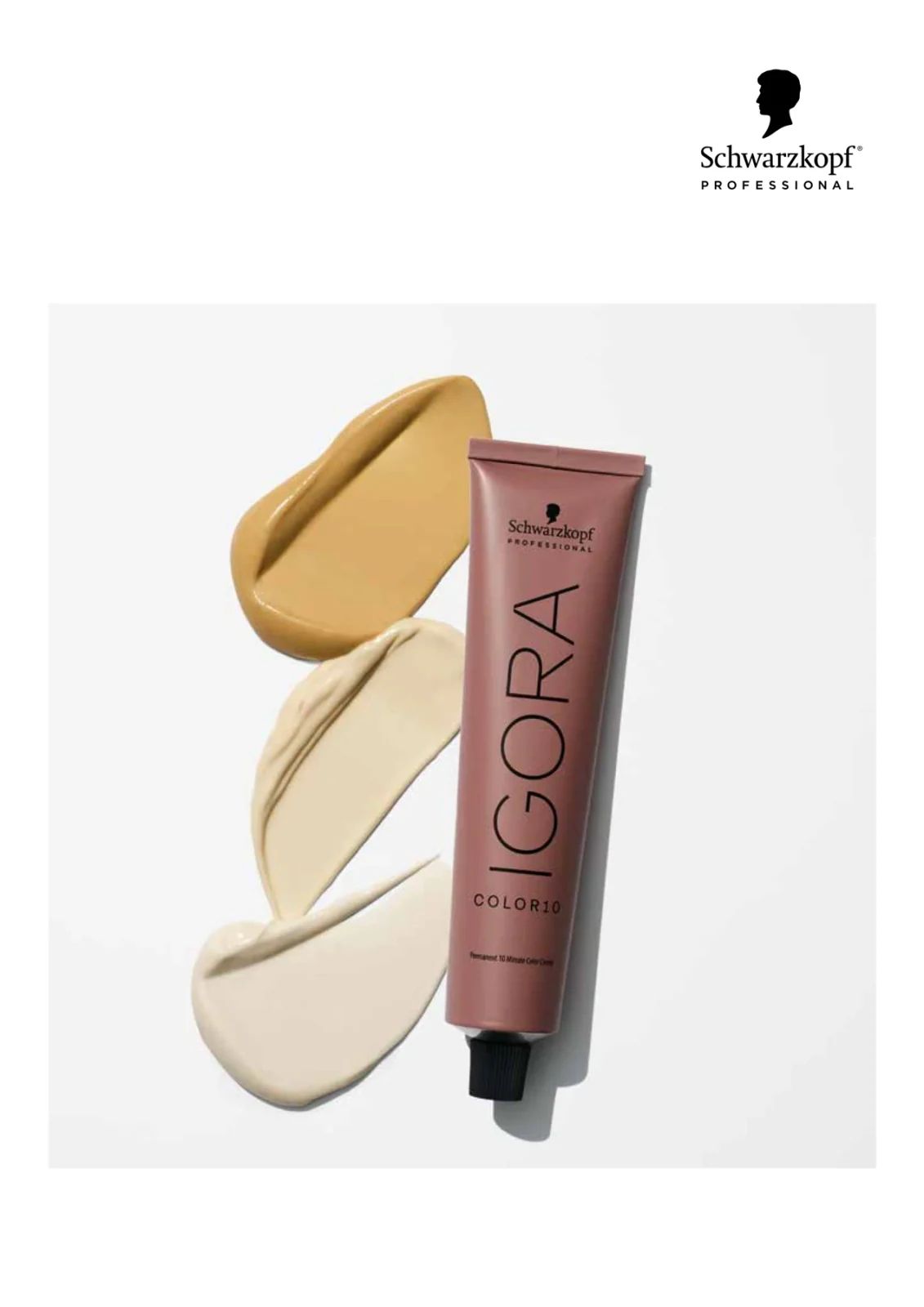 Igora Color10 - 7-1 - Medium Blonde - Cendre professional Color10 tube and colour texture