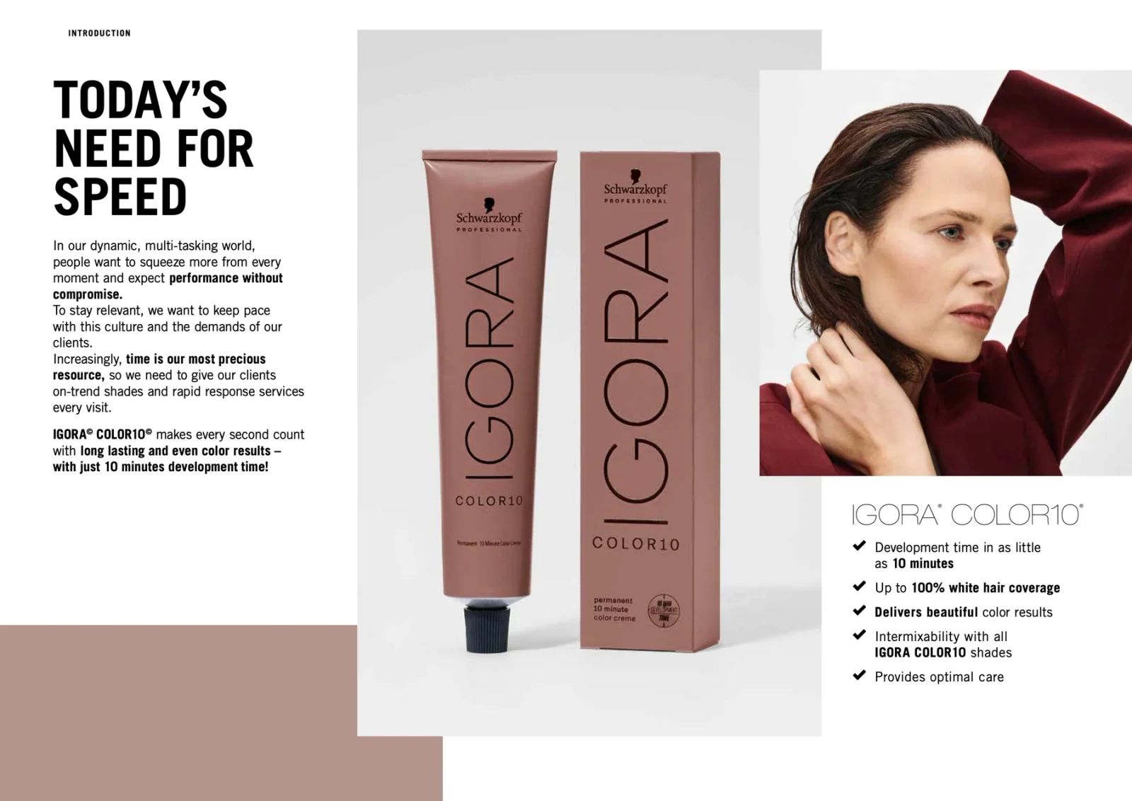 Igora Color10 - 8-65 - Light Blonde - Chocolate system benefits and professional colour service overview