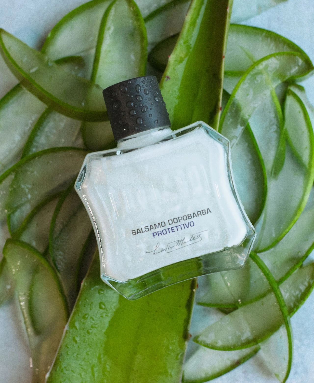 Proraso - After Shave Balm - Blue Protective - 100ml: Proraso - After Shave Balm - Blue Protective - 100ml packaging detail