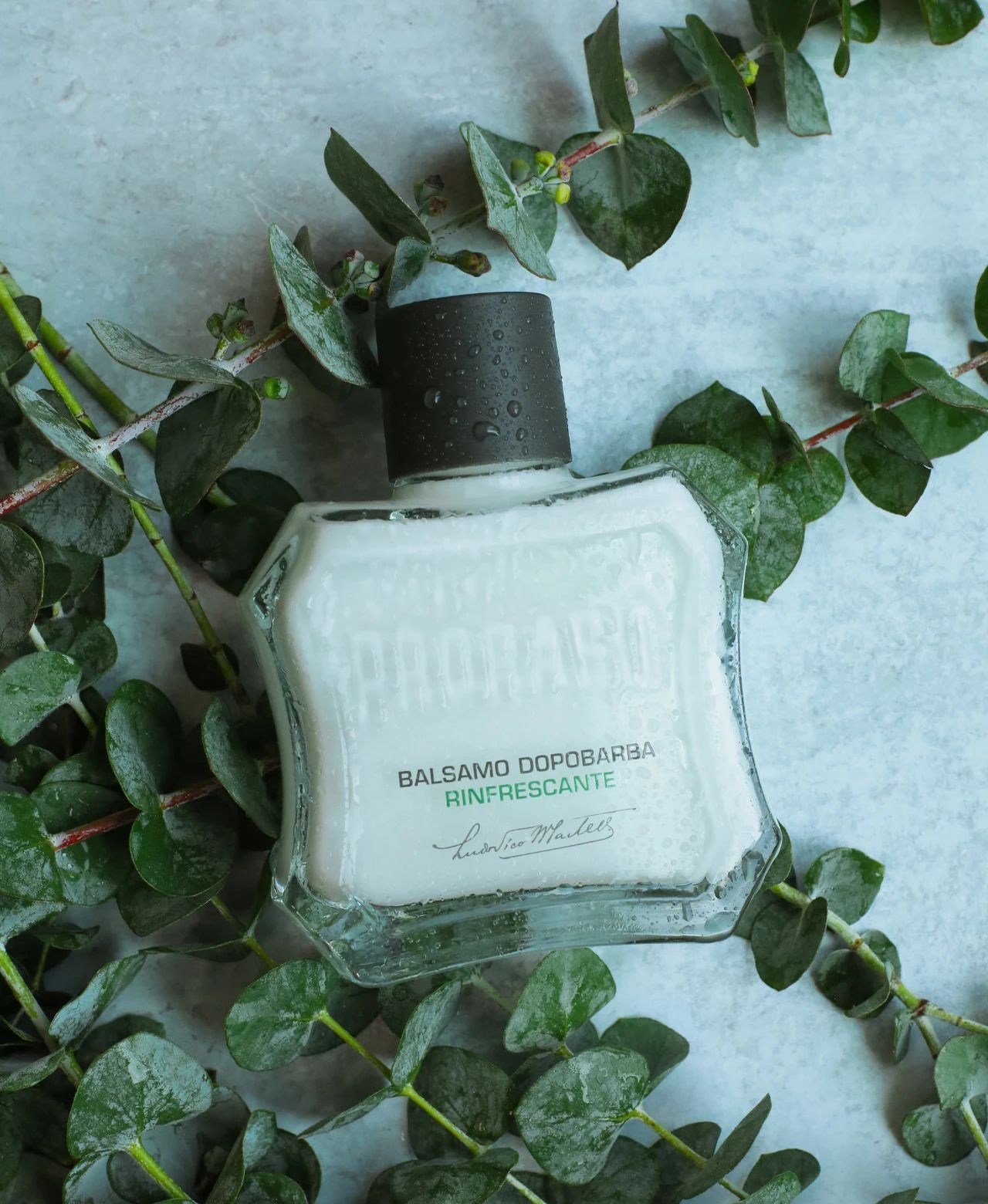 Proraso - After Shave Balm - Green Refresh - 100ml: Proraso - After Shave Balm - Green Refresh - 100ml packaging detail