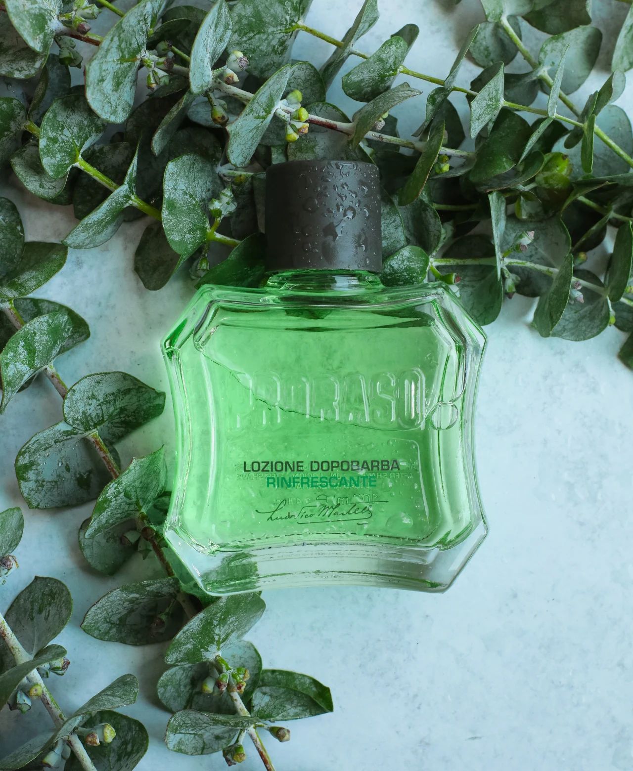 Proraso - After Shave Lotion - Green Refresh - 100ml: Proraso - After Shave Lotion - Green Refresh - 100ml packaging detail
