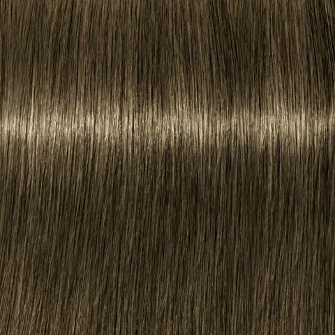 Igora Color10 - 7-1 - Mittelblond - Cendre