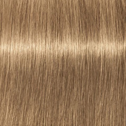 Igora Color10 8-65 Light Blonde Chocolate